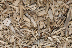 biomass boilers Ailstone